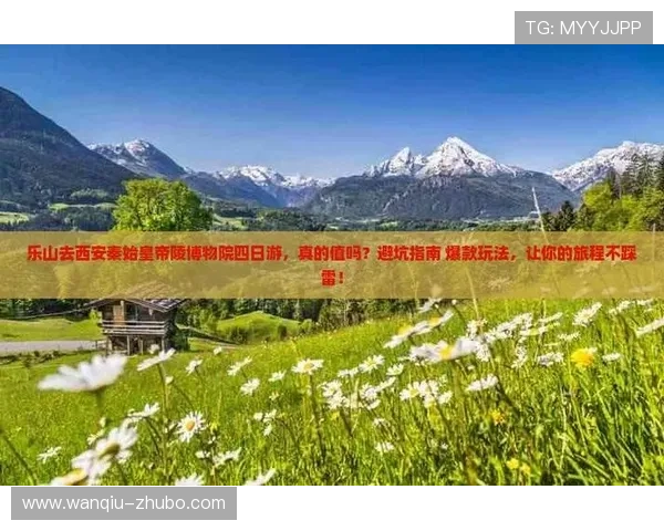 玩球让球规则避坑指南数字高频玩法防骗